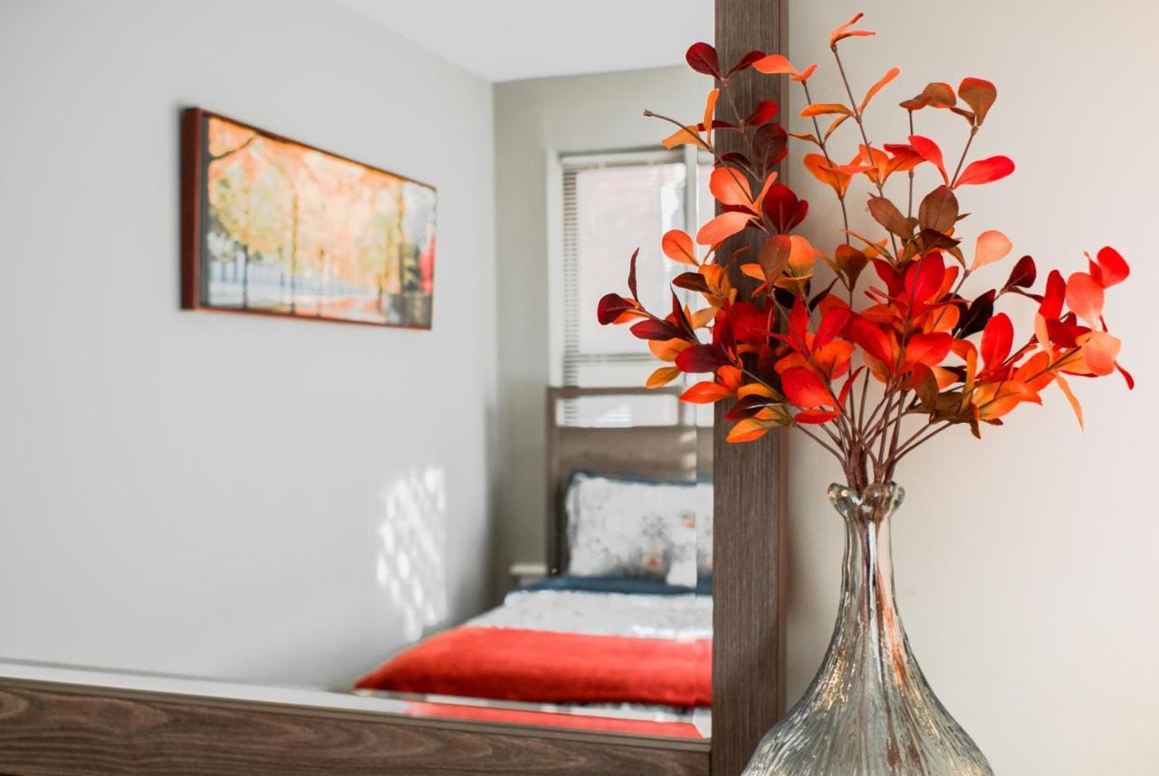 Lovely 2Br Apartment By Wooster Square- Great Neighborhood New Haven Zewnętrze zdjęcie
