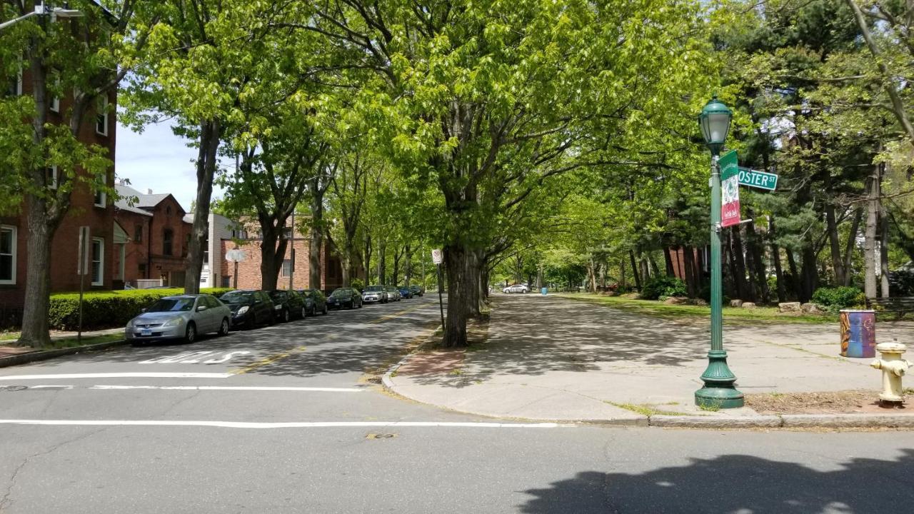 Lovely 2Br Apartment By Wooster Square- Great Neighborhood New Haven Zewnętrze zdjęcie